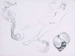 Max Feldbauer,Scholle,Das freche Seepferdchen III,Lithografie,15 x 20,5 cm,