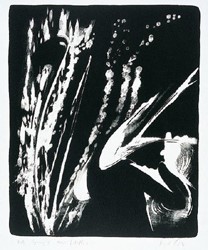 SPRENG III
1998
Lithografie
75 x 65 cm
Auflage: 40 num. /5 EA Exemplare
WVZ 163