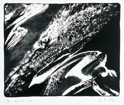 SPRENG IV
1998
Lithografie
75 x 65 cm
Auflage: 40 num. /5 EA Exemplare, hier 28/40
WVZ 164
